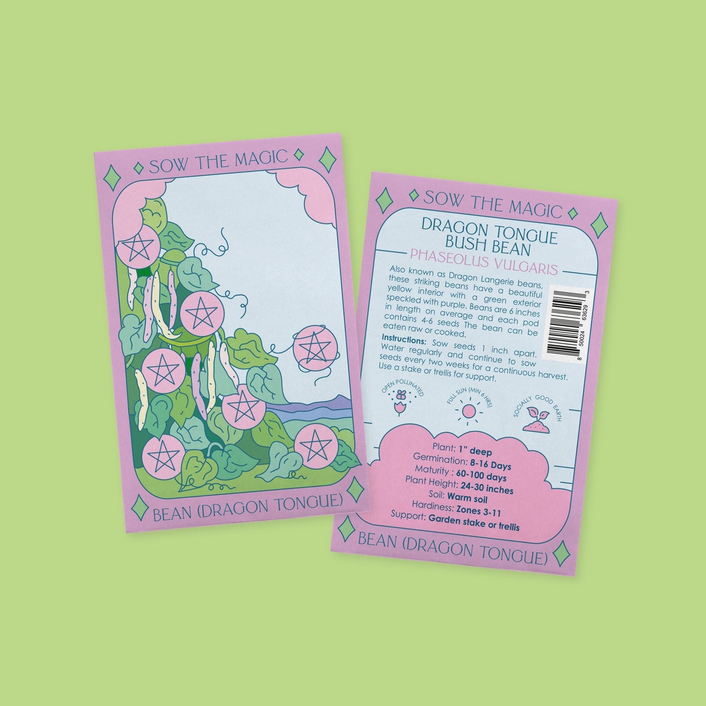 Dragon Tongue Bush Bean Tarot Seed Packet