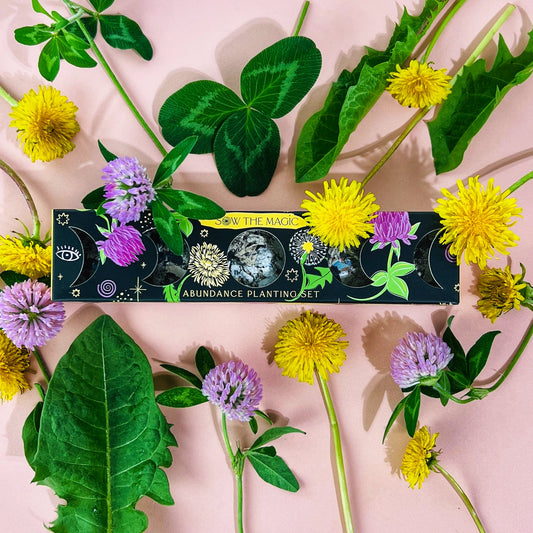 Moon Phase Abundance Seed Planting Set