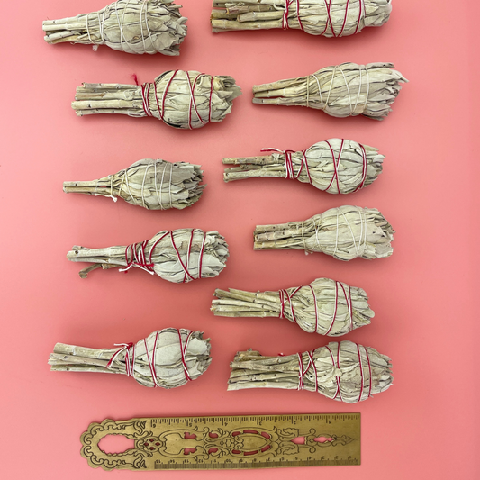 Torch White Sage Smudge Stick