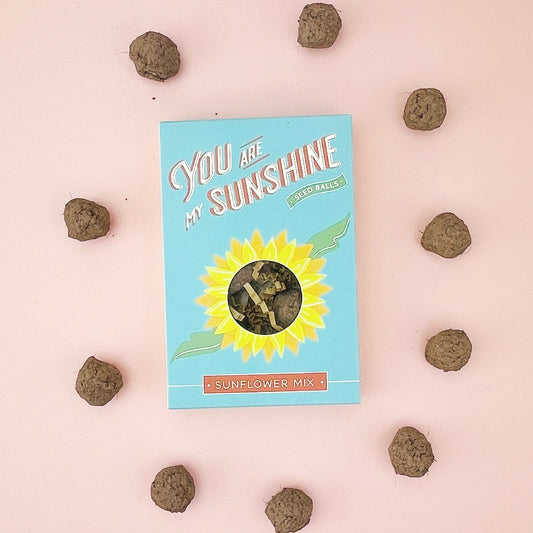You Are My Sunshine Seed Ball Gift Box