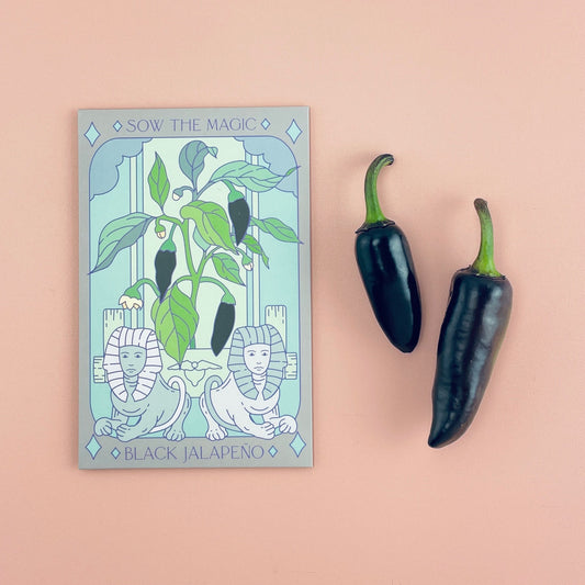 Black Hungarian Jalapeño Tarot Seed Packet