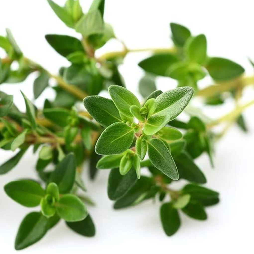 Garden Thyme Tarot Seed Packet