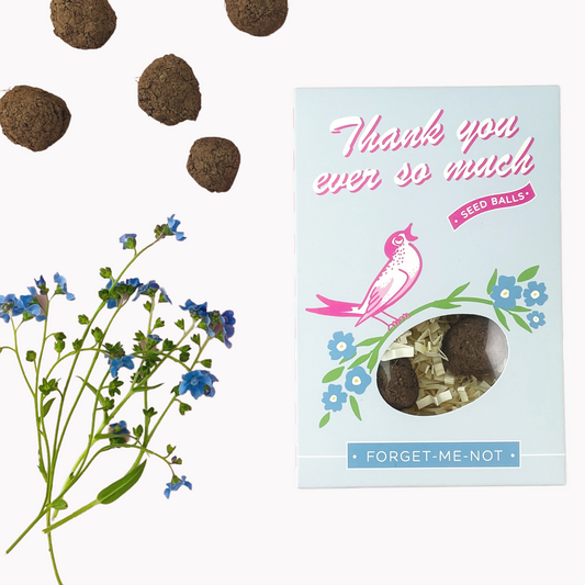 Thank You So Much Seed Ball Gift Box