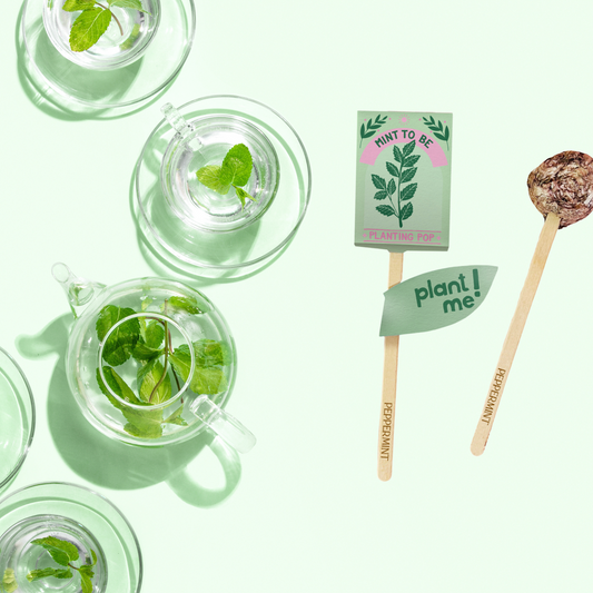 Mint To Be đź’š Garden + Gift Seed Planting Pop