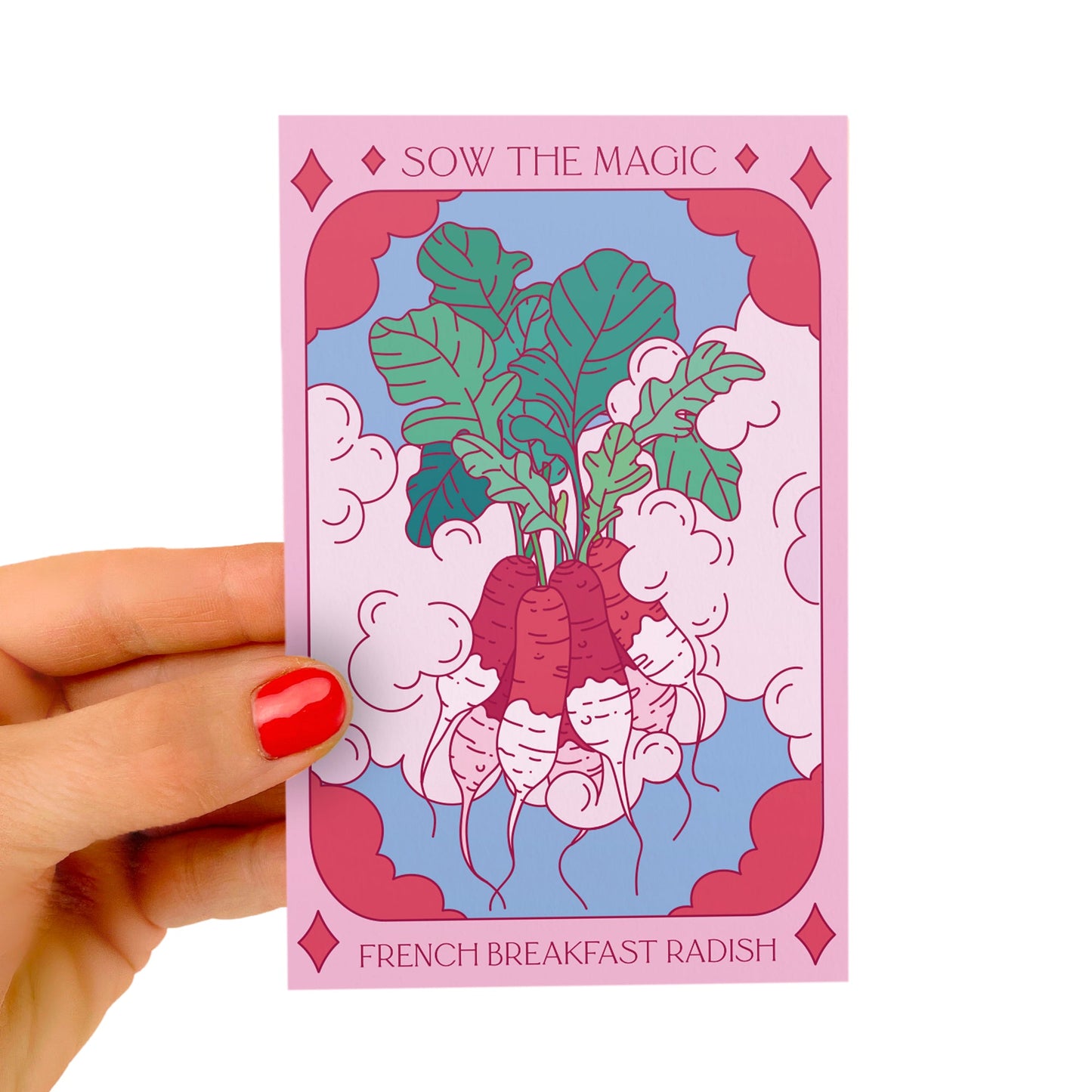 French Breakfast Radish Tarot Seed Packet