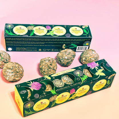 Moon Phase Abundance Seed Planting Set
