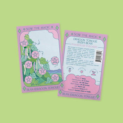 Dragon Tongue Bush Bean Tarot Seed Packet