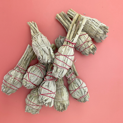 Torch White Sage Smudge Stick