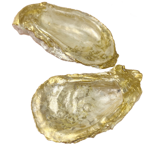Hand painted Oyster Shell Trinket Tray Dish