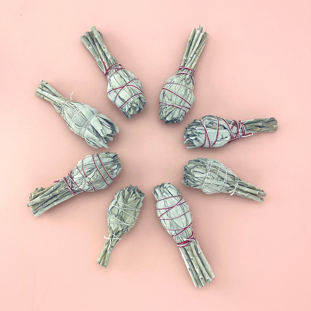 Torch White Sage Smudge Stick