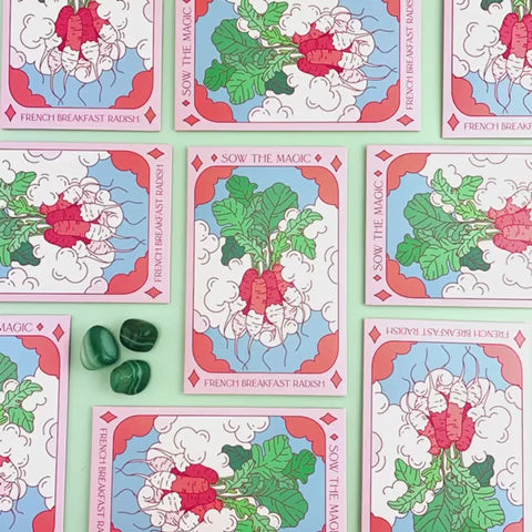 French Breakfast Radish Tarot Seed Packet