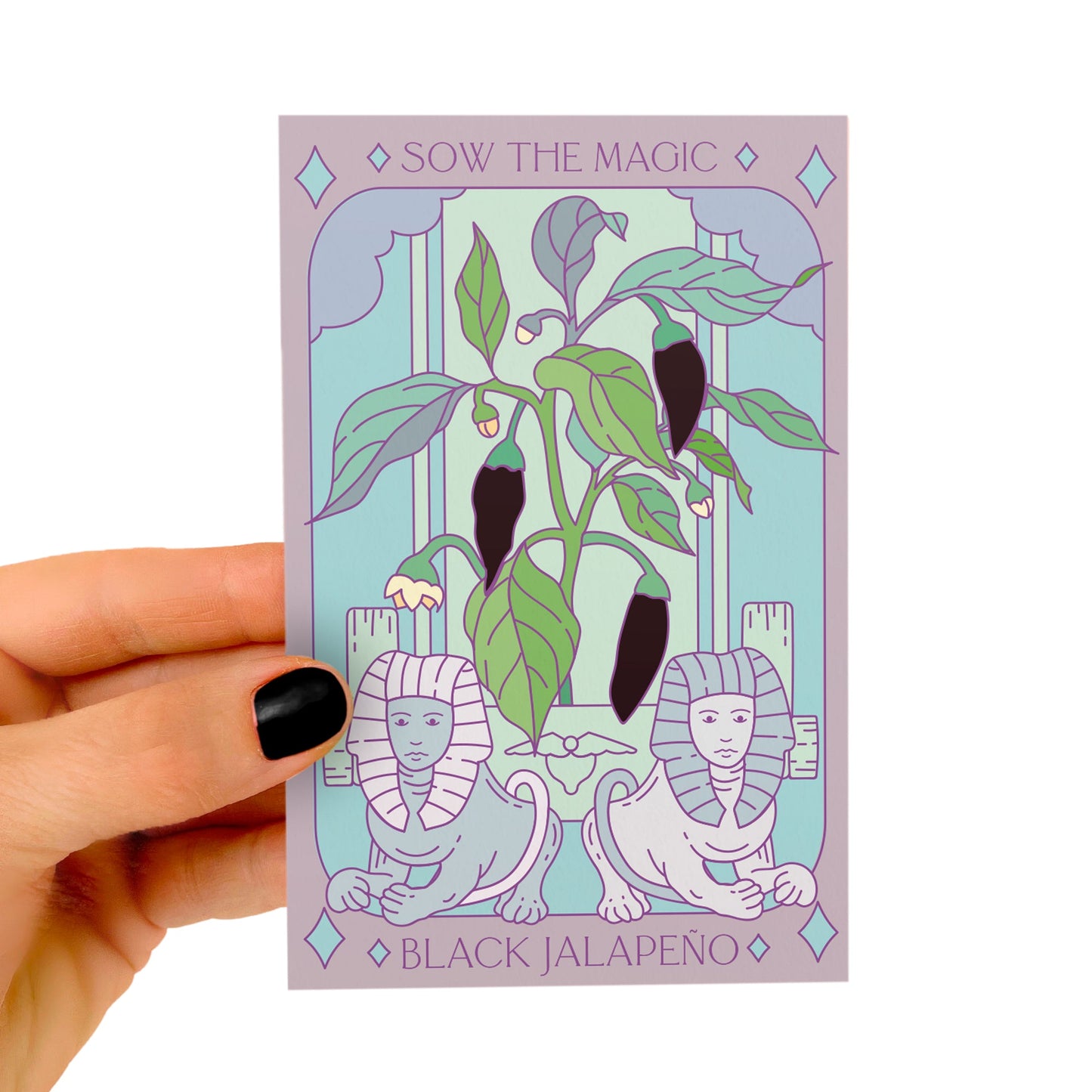 Black Hungarian Jalapeño Tarot Seed Packet