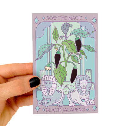 Black Hungarian Jalapeño Tarot Seed Packet