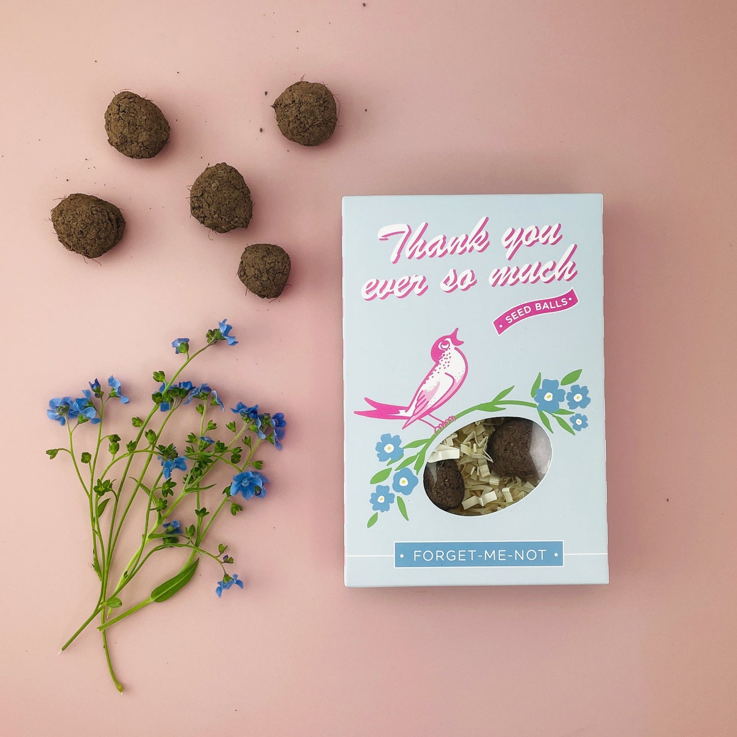 Thank You So Much Seed Ball Gift Box