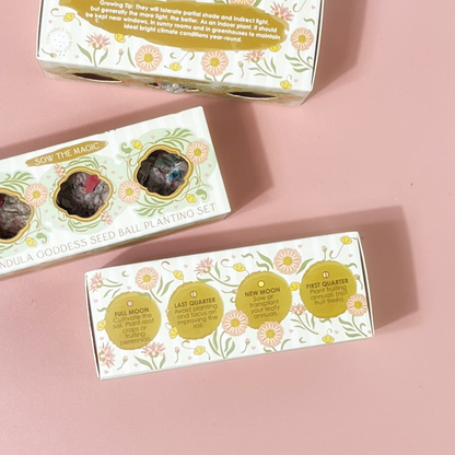 Calendula Goddess Mini Seed Ball Gift Box Set