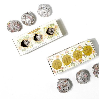 Calendula Goddess Mini Seed Ball Gift Box Set
