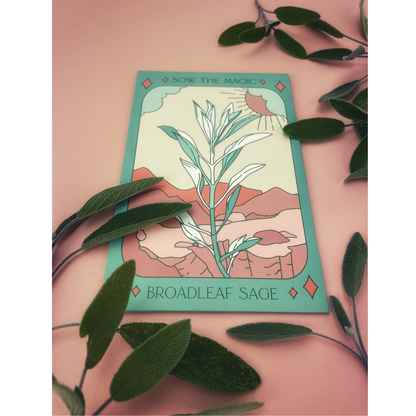 Broadleaf Sage Tarot Seed Packet