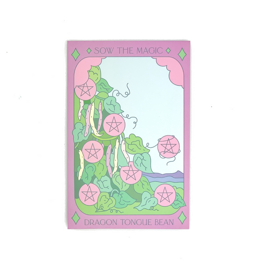 Dragon Tongue Bush Bean Tarot Seed Packet