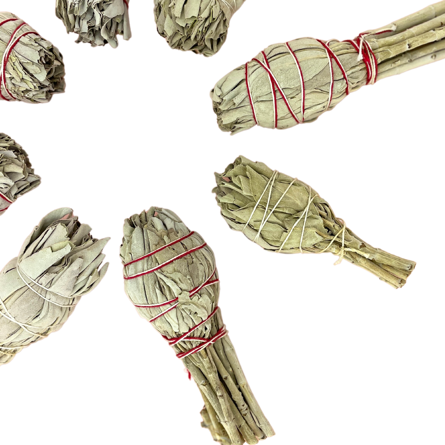 Torch White Sage Smudge Stick