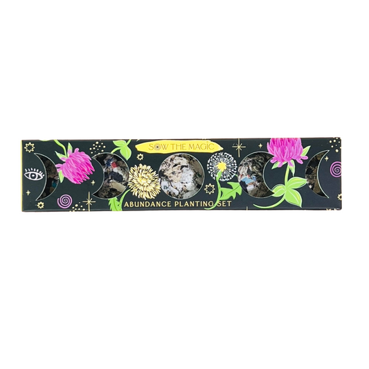 Moon Phase Abundance Seed Planting Set