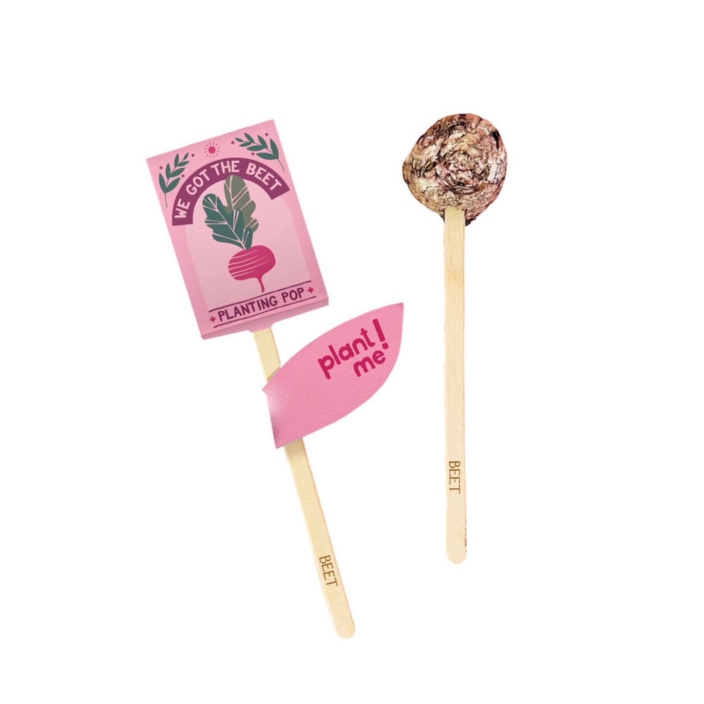 We Got The Beet Garden + Gift Seed Planting Pop