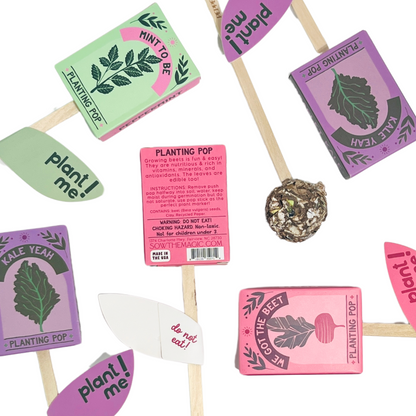 We Got The Beet Garden + Gift Seed Planting Pop
