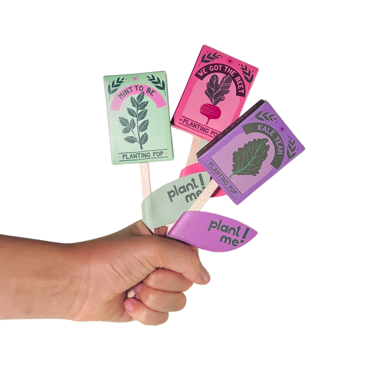 We Got The Beet Garden + Gift Seed Planting Pop