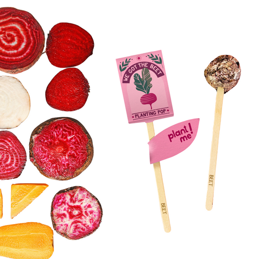 We Got The Beet Garden + Gift Seed Planting Pop