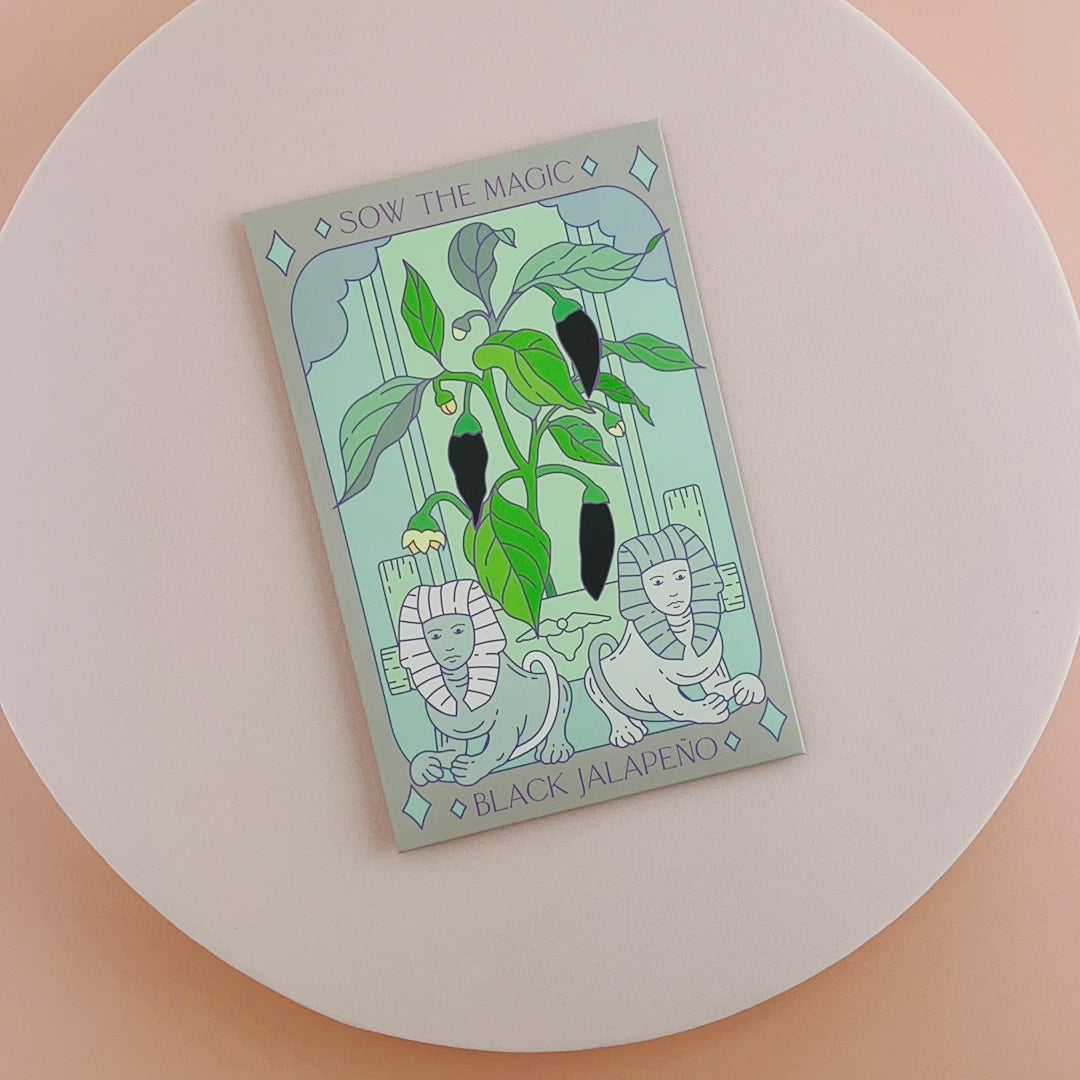 Black Hungarian Jalapeño Tarot Seed Packet