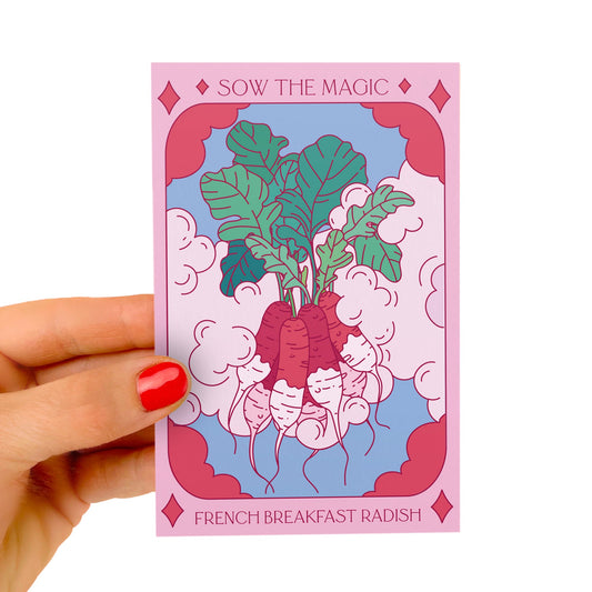 French Breakfast Radish Tarot Seed Packet